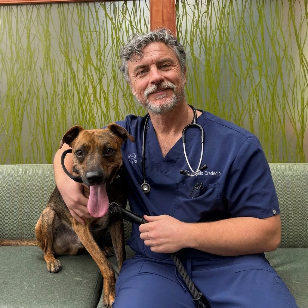 Dr. Chris Palmer, DVM