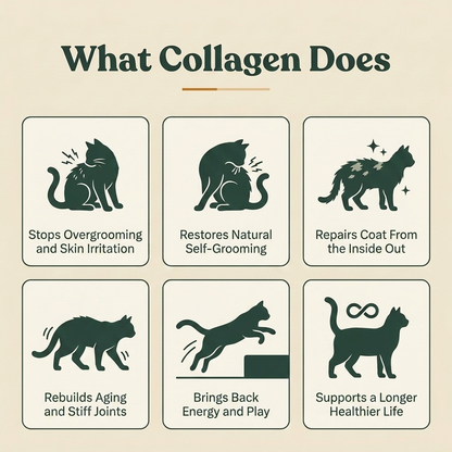 HappyWags Liquid Collagen For Cats
